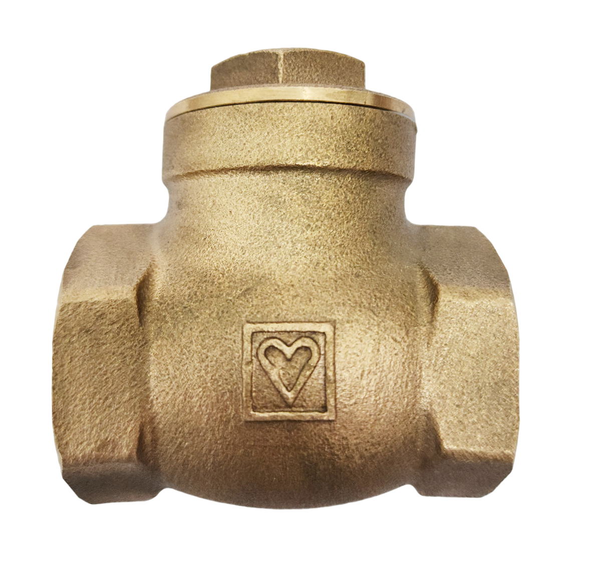 Check Valves