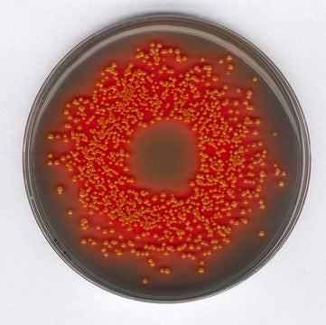 Merck Hektoen Enteric Agar