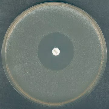 Merck Mueller-Hinton Agar