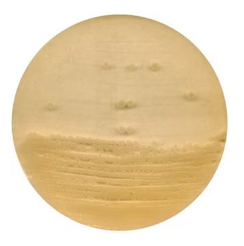 Merck Antibiotic Agar No. 1