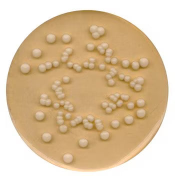 Merck Potato Dextrose Agar